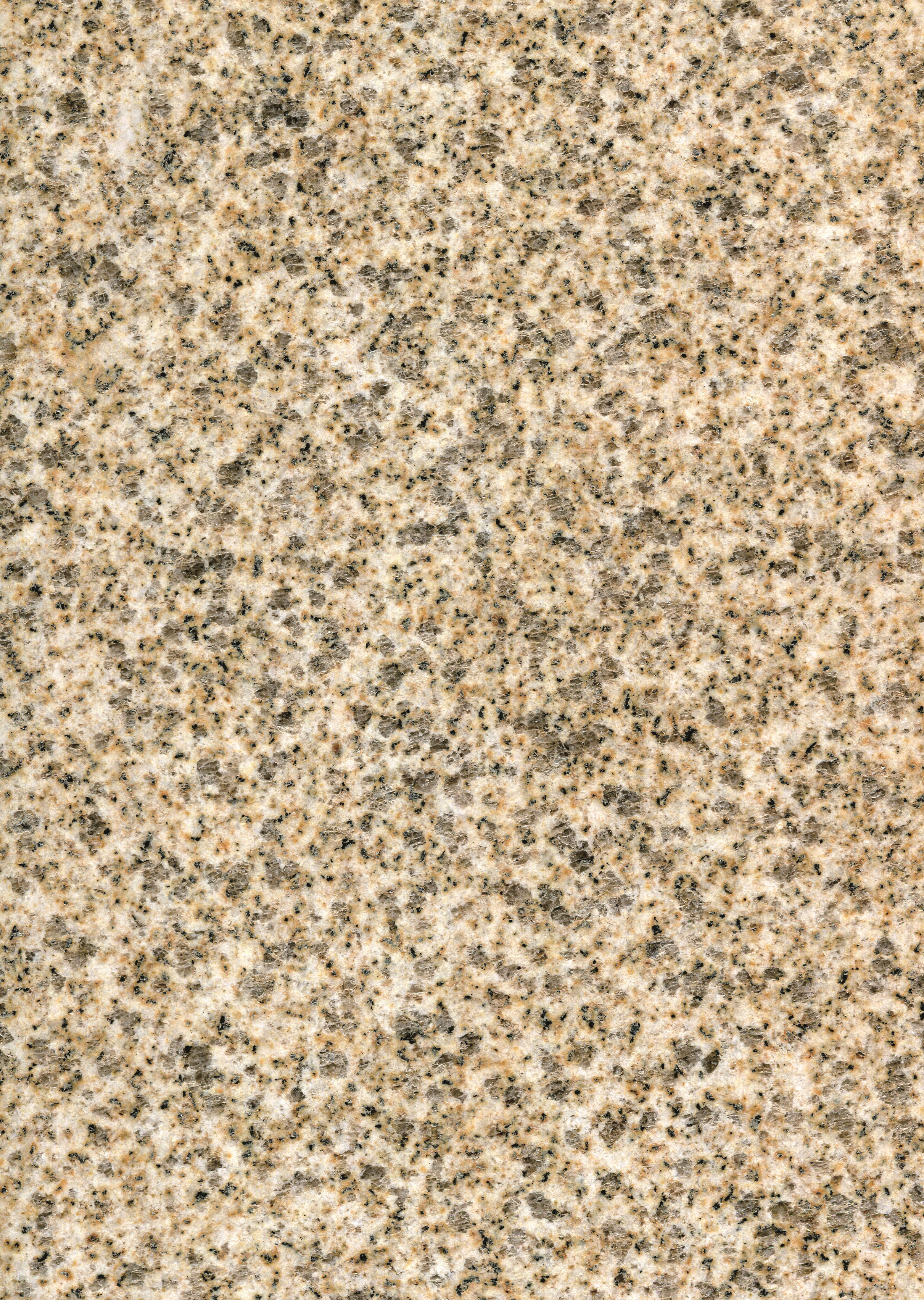 ZHENGXIN GIALLO GOLD Polished